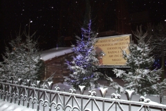 2010_01100028.JPG