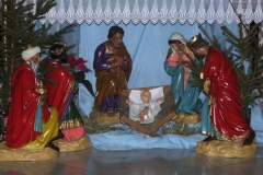 2010_01170005.JPG