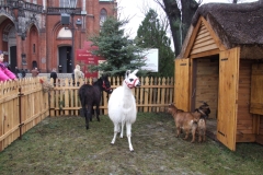 2012_12260064.JPG