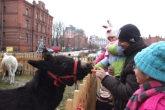 2012_12260070.JPG