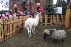 2012_12260084.JPG