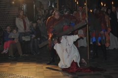 DSC_4980.JPG