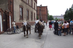 DSC_0336a.JPG