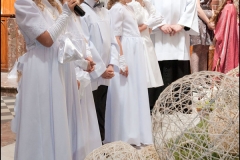 9010.jpg