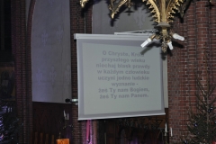 DSC_4787.JPG