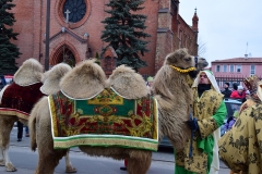 DSC_2481.JPG