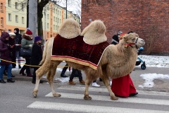 DSC_2541.JPG