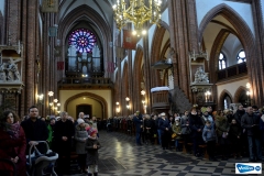 DSC_2636.jpg